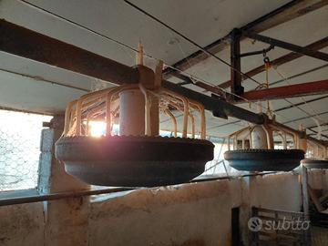 Abbeveratoio a goccia e mangiatoia per polli