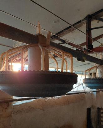 Abbeveratoio a goccia e mangiatoia per polli