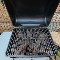 Barbecue a gas con pietra lavica