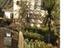 Immagine 11