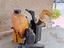Immagine 1