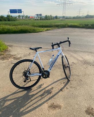 Orbea gain