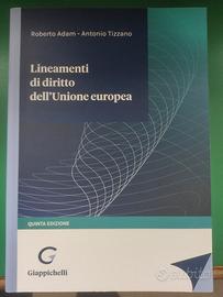 lineamenti di diritto costituzionale  dell' Unione
