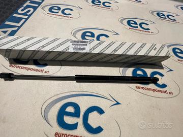 46830389 MOLLA A GAS PORTELLONE POSTERIORE MUSA /I