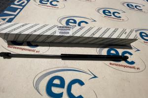 46830389 MOLLA A GAS PORTELLONE POSTERIORE MUSA /I