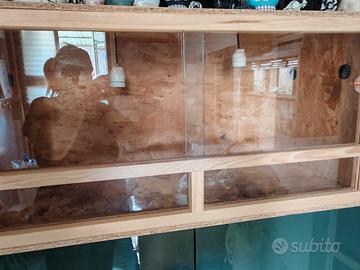 Terrario Legno/Vetro + accessori