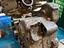 Immagine 2