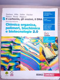 Il carbonio, gli enzimi, il DNA