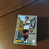 Figurine Panini Serie B 2025/2026