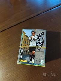 Figurine Panini Serie B 2025/2026