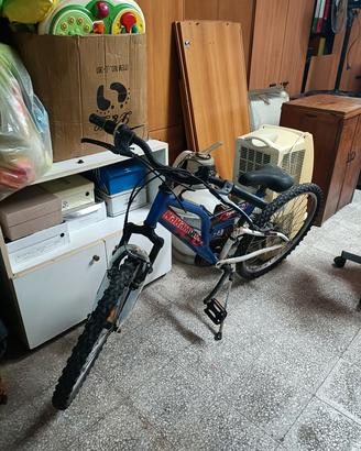 2 bici ruota 24