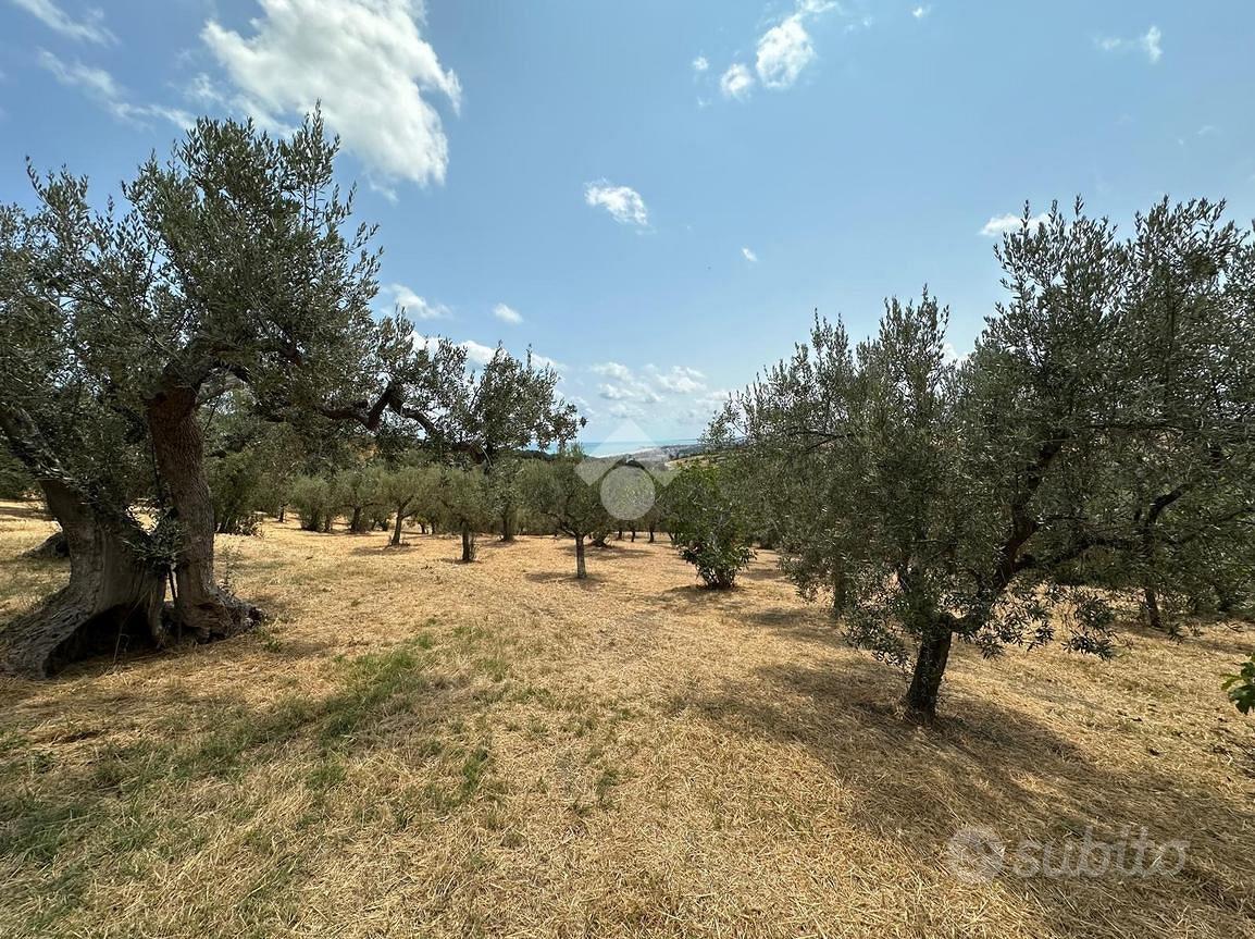 TERRENO A VASTO - Vista 2