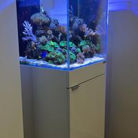 ACQUARIO MARINO CUBO 50*50 CON MOBILE