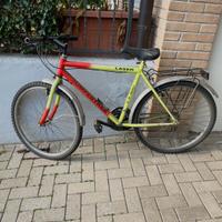Bicicletta mountain bike