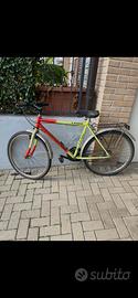 Bicicletta mountain bike