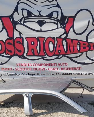 SKODA FABIA NJ3 TETTO LAMIERATO TETTINO MONTANTI