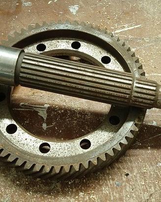 Lotus Elise S1 - coppia conica