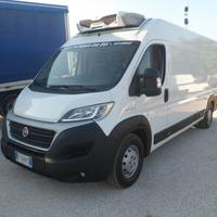 Fiat Ducato furgone maxi frigo coibentato