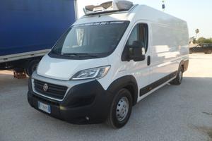 Fiat Ducato furgone maxi frigo coibentato