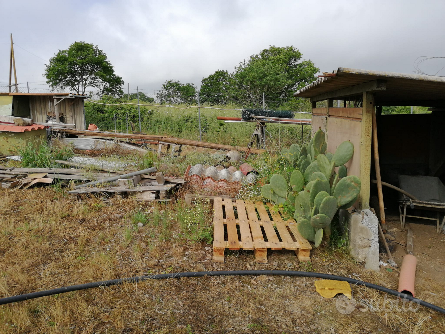 Terreno agricolo Nepi(VT) - Vista 4