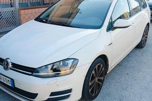 Volkswagen Golf Variant 1.6 TDI 110 CV Comfortline