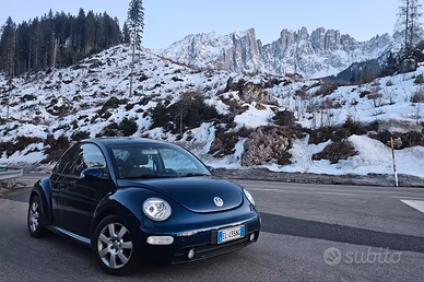 New beetle