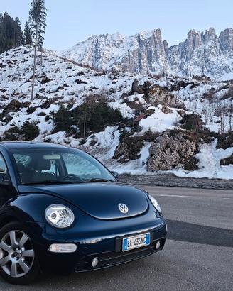 New beetle