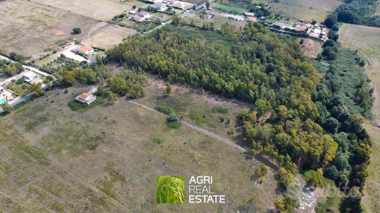 Terreno agricolo 2 ettari ca - Vista 3