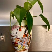 Un paio di piccoli vasi magnetici