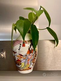 Un paio di piccoli vasi magnetici