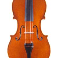Violino liuteria  certificato 