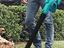 Immagine 3