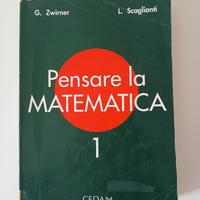 Pensare la matematica 