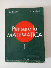 Pensare la matematica 
