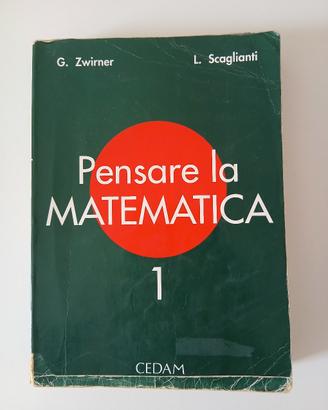 Pensare la matematica 