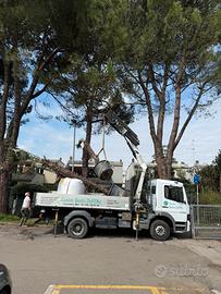 Autocarro mercedes atego