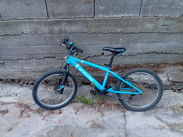 bicicletta 