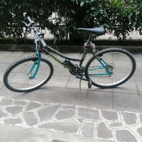 mountain-bike 