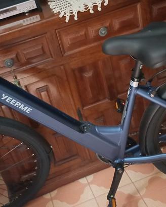 Bici elettrica