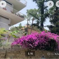 Attico 67 mq con terrazzo Balduina