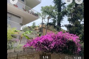 Attico 67 mq con terrazzo Balduina