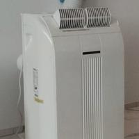 Pinguino Raffreddamento 