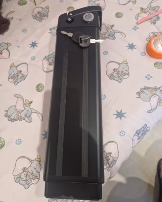 Batteria ebike al litio 48 V -20 Ah nuova di zecca