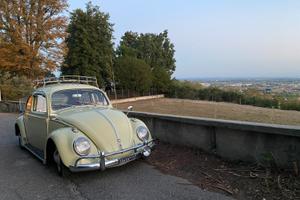 Maggiolino 1962 beryl green