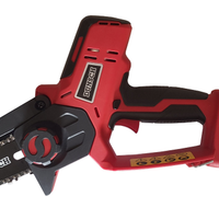 Motosega pota Dunsch 20V 4Ah kit completo