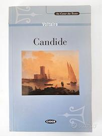 "Candide" Voltaire, Libro Studio Analisi Francese