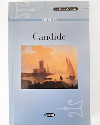"Candide" Voltaire, Libro Studio Analisi Francese