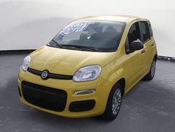 FIAT Pandina 1.0 FireFly 65 CV Hybrid Icon