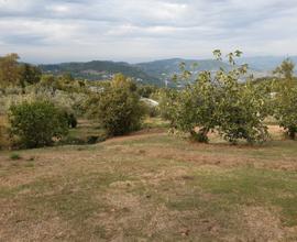 Terreno agricolo edificabile