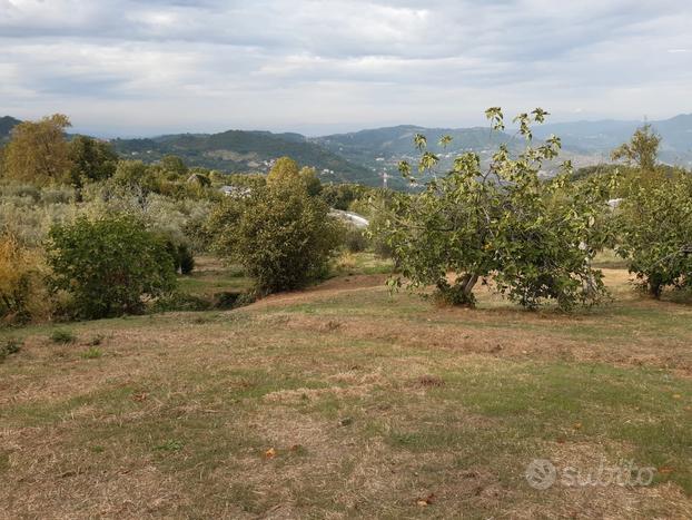 Terreno agricolo edificabile